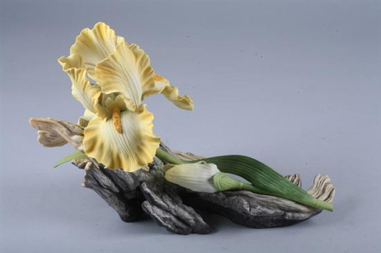 BOEHM PORCELAIN FIGURE OF YELLOW IRIS, Stamped underside, 300-19, Limited E