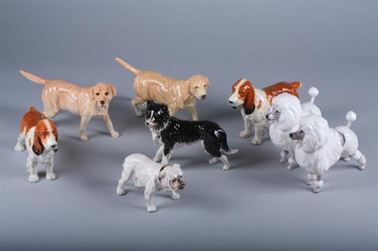 EIGHT ROYAL DOULTON BONE CHINA FIDURES OF DOGS. - 5 1/4 in. high, largest.