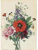 Description: Sotheby's New York - A BOUQUET OF FLOWERS