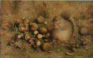 Description: Sotheby's New York - Squirrel with Nuts