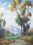 Description: Bonhams & Butterfields San Francisco - Sunset Glow on Eucalyptus trees