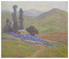 Description: Matthew's Galleries - Lupines on a Hillside