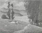 Description: Bonhams & Butterfields San Francisco - Wildflowers along the Path