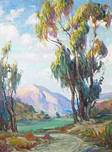 Description: Bonhams & Butterfields San Francisco - Sunset Glow on Eucalyptus trees