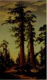 Description: Bonhams & Butterfields San Francisco - Giant Sequioas, 1870
