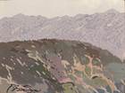 Description: John Moran Auctioneers - Mountain Bloom