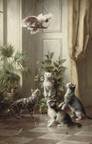 Description: Description: Christie's Amsterdam - Cats and the cockatoo