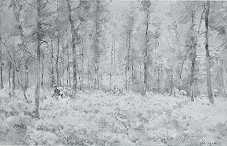 Description: Christie's New York, 