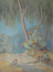 Description: Simpson Galleries - Flowering Cactus on Gallagher Ranch