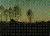 Description: Skinner Inc, Marlborough - Late Afternoon, Springtime