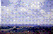 Description: Sotheby's New York - Summer Clouds