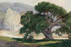 John Moran Auctioneers - Oak tree in a landscape
