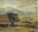 Northeast Auctions - Mountain View with Desert Scrub Brush
