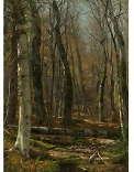 Sotheby's New York - Wooded Interior