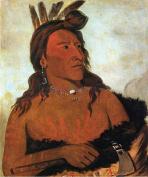 Little Bear Hunkpapa Brave oil painting by Famous Artist - George Catlin