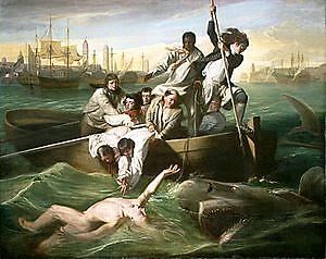 http://upload.wikimedia.org/wikipedia/commons/thumb/a/a3/Watsonandtheshark-original.jpg/300px-Watsonandtheshark-original.jpg