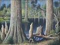 Description: Description: Burchard Galleries Inc - Hillsborough River State Park