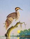 Description: Description: Neal Auction Company - Egret at Sunset