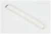 Default Thumbnail Image A