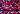 Default Thumbnail Image A