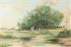 Default Thumbnail Image A