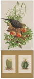 Default Thumbnail Image A