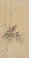 Default Thumbnail Image A