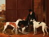 Default Thumbnail Image A
