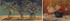 Default Thumbnail Image A