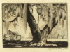Default Thumbnail Image A