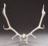 Default Thumbnail Image A