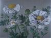 Default Thumbnail Image A