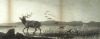 Default Thumbnail Image A
