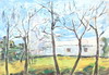 Default Thumbnail Image A