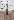 Default Thumbnail Image A