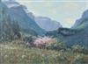 Default Thumbnail Image A
