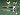 Default Thumbnail Image A