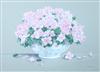 Default Thumbnail Image A