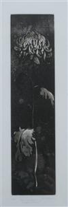 Default Thumbnail Image A