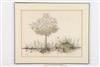 Default Thumbnail Image A