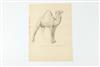 Default Thumbnail Image A