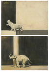 Default Thumbnail Image A