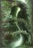 Default Thumbnail Image A