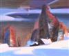 Default Thumbnail Image A