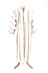 Default Thumbnail Image A