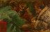 Default Thumbnail Image A