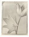 Default Thumbnail Image A