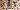 Default Thumbnail Image A
