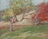 Default Thumbnail Image A