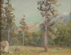 Default Thumbnail Image A